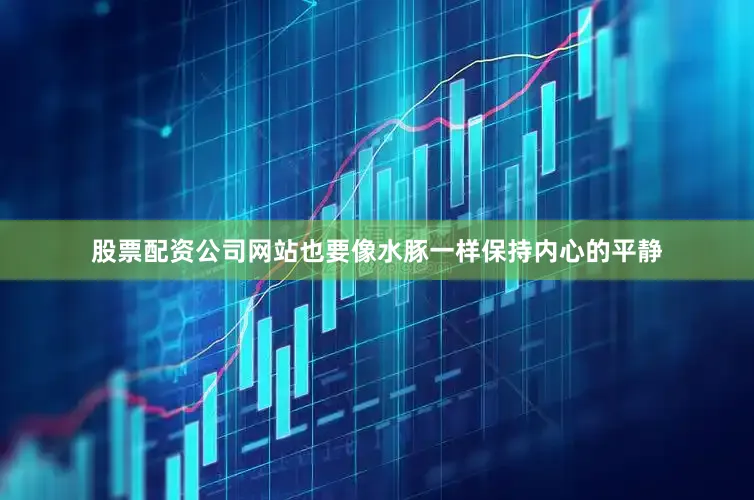 股票配资公司网站也要像水豚一样保持内心的平静