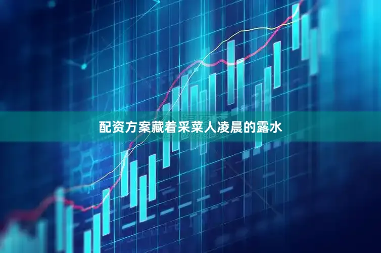 配资方案藏着采菜人凌晨的露水