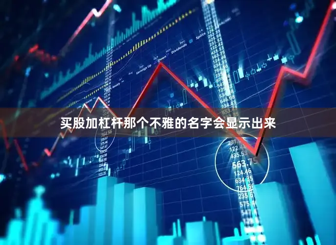 买股加杠杆那个不雅的名字会显示出来