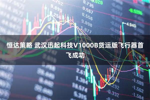 恒达策略 武汉迅起科技V1000B货运版飞行器首飞成功